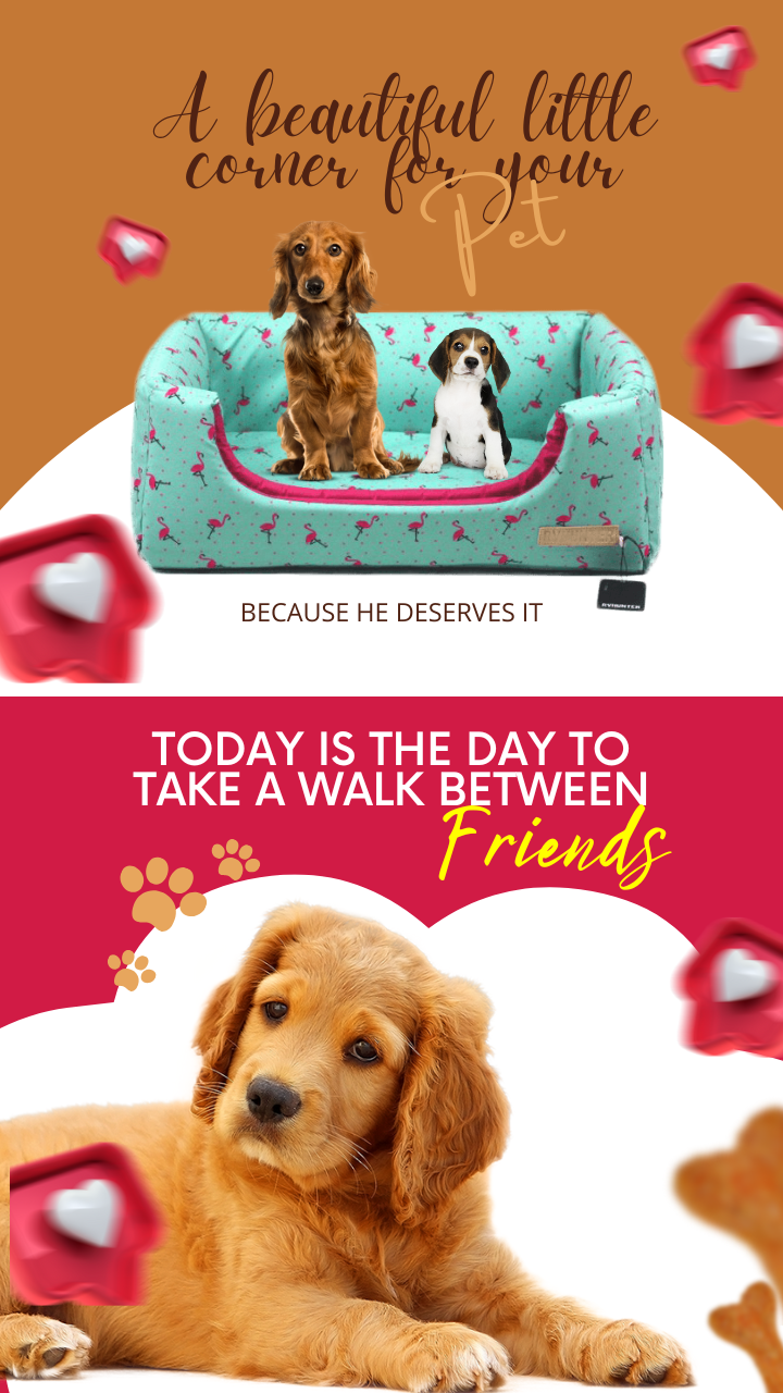 Cópia-de-Variado-15-Cartões-Interativos-_1_