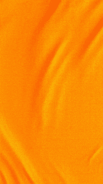 Storie-Animado-Sao-Joao-1